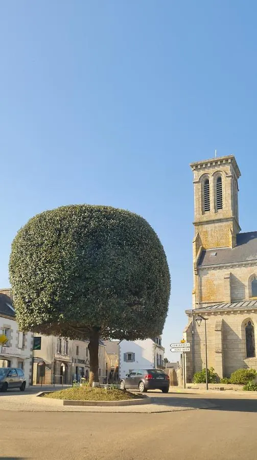 Grande Maison Dans Le Bourg De Nevez + Jardin France